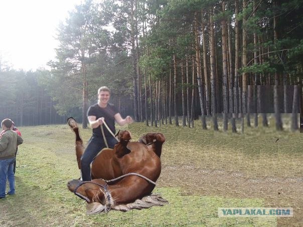 Фотожаба: если б я имел коня...