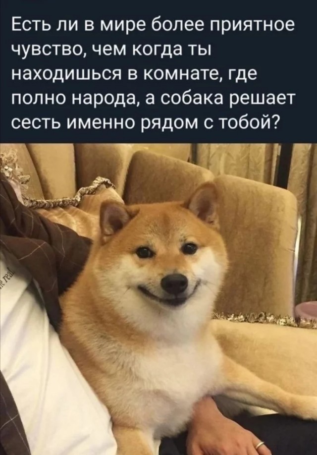 Мы здесь не для этого