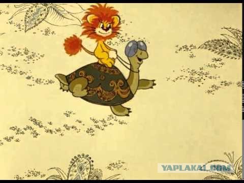 Черепаха напала на льва, который пришел на водопой