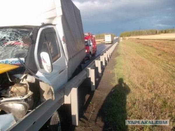 Лобовая с газелью