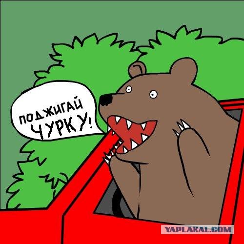ВоДятел едет зигзагом