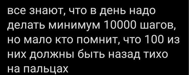 Весёлый полтишок 25.04