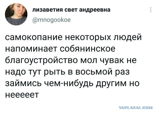 Весёлый полтишок 8.08