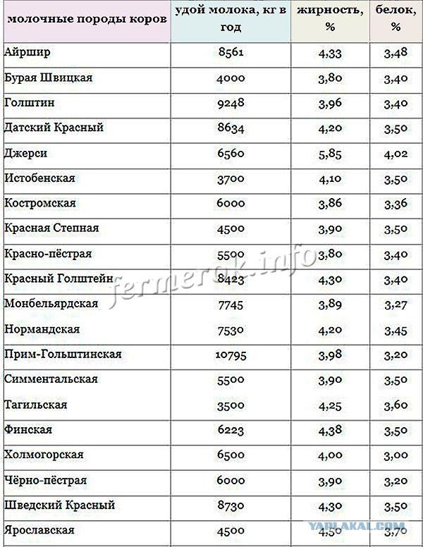 Домашнее, натуральное и фермерское?