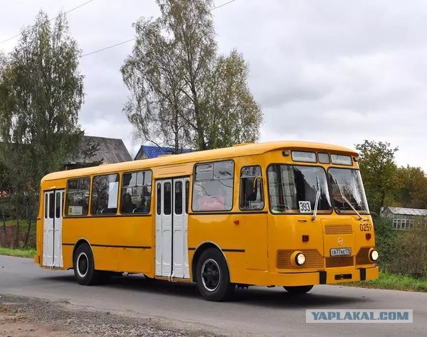 Пантера рычит и лязгает