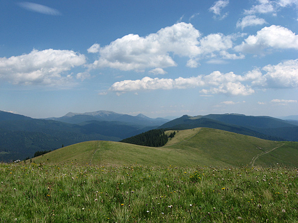 Красота Карпатских гор