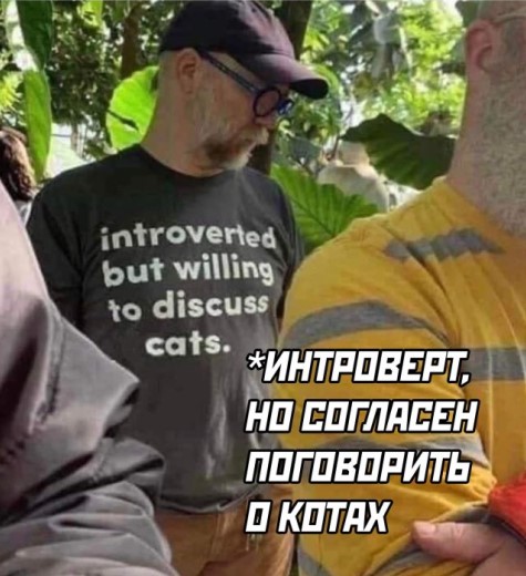 Жизнь домашнего приюта "Котоленд" 324