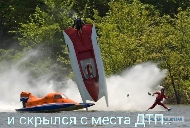 Забавные и веселые картинки