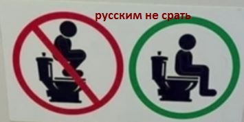 «Самолеты с русскими должны разбиваться»