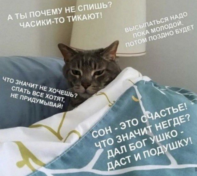 Скриншоты, комментарии, картинки 22.06.22