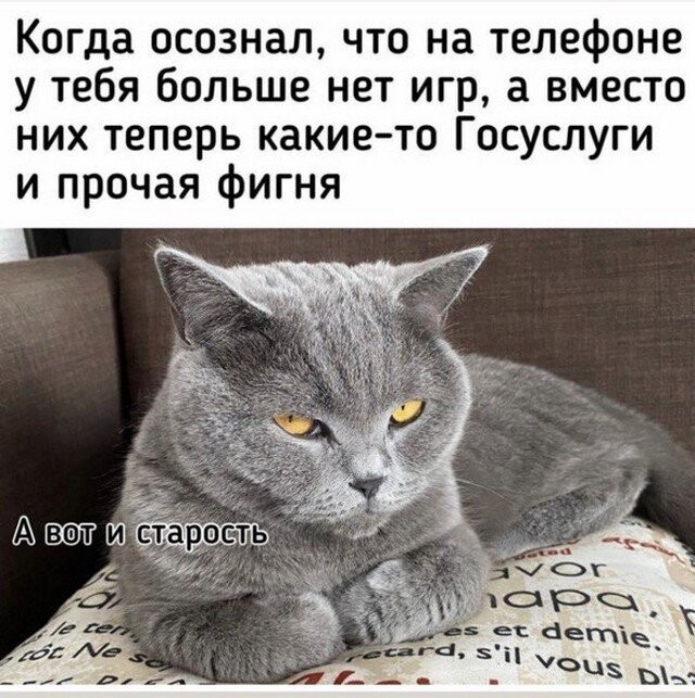 Баянисто-небаянистый юмор 30.07.22