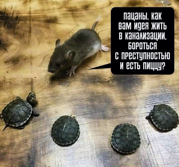 Немного картинок для настроения - 112