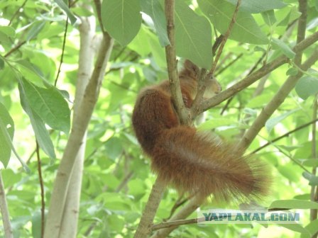 Деревня в которой я живу
