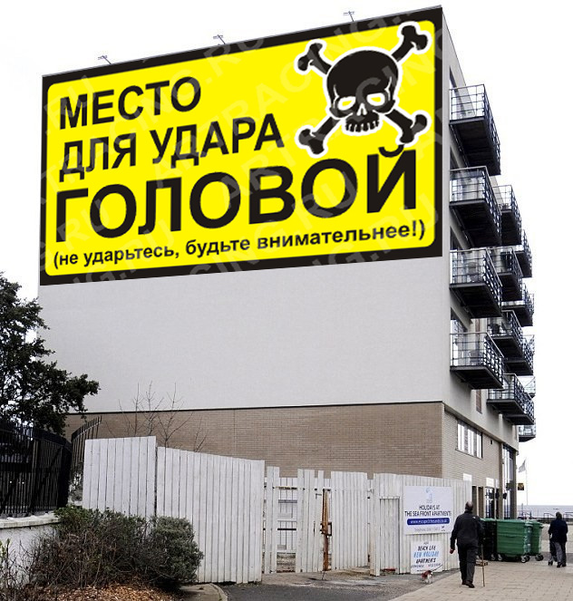 Дом, в который врезаются гуси