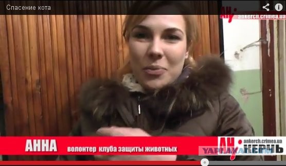 В Крыму ради котенка сломали стену в доме