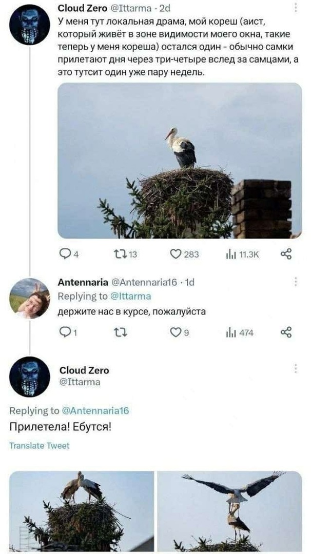 Так себе картинки 06.05.23