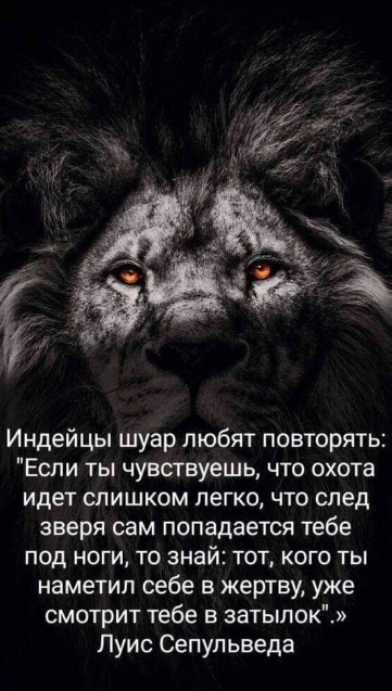 Дело было вечером, выпить было нечего 2
