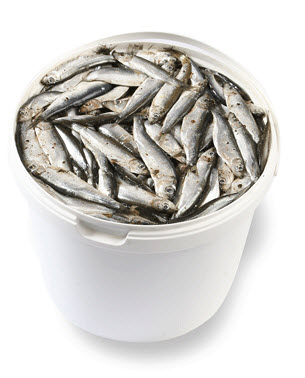 на что клюёт?