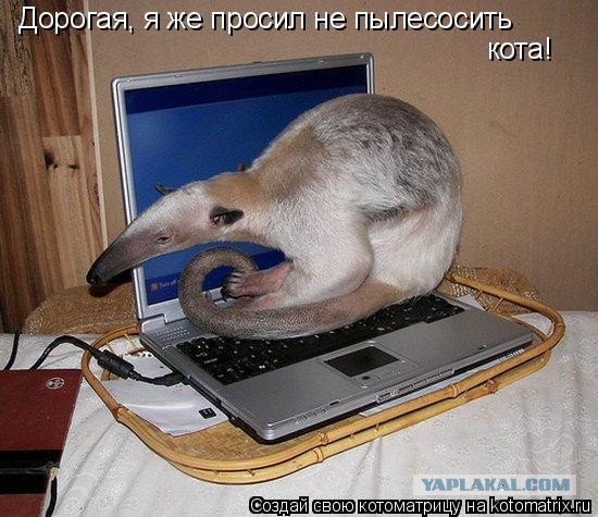 Сходил как-то на фильм ужасов