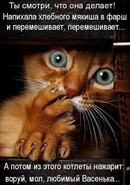 Завалялось тут случайно немного забавных картинок
