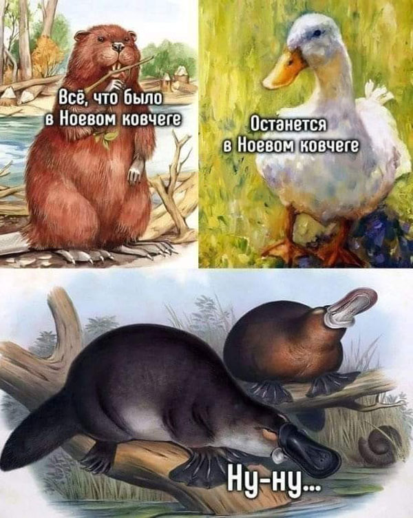 Суббото-баяно-лар