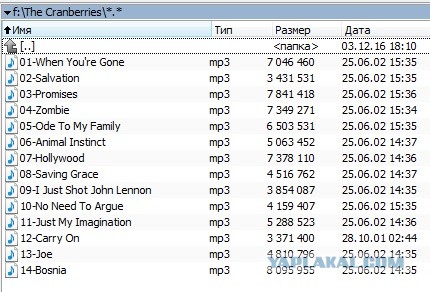 Музыка и музыканты: Dolores O'Riordan и The Cranberries