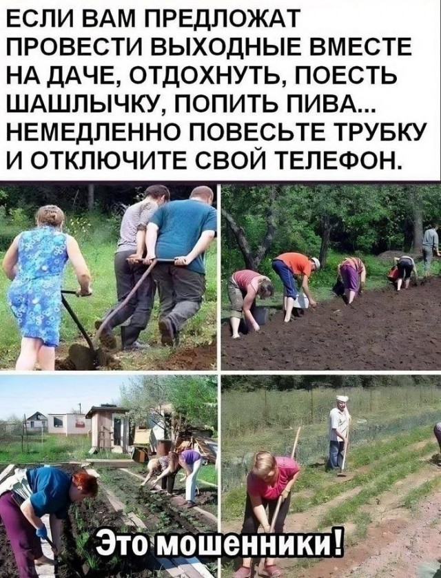 Так себе картинки 23.09.24