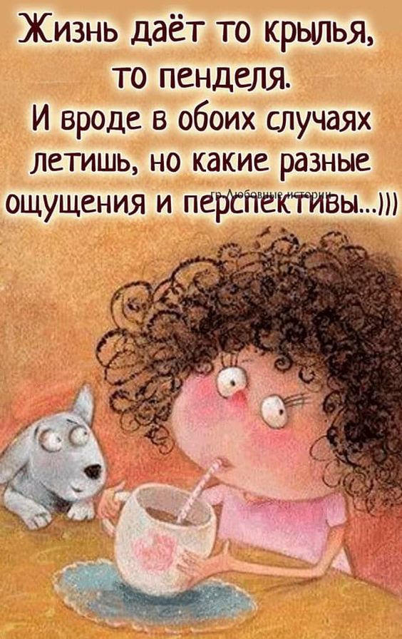 Прикольные и просто красивые картинки 24.09.2024