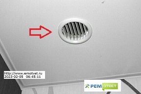 Почему многие люди понимают только язык силы?