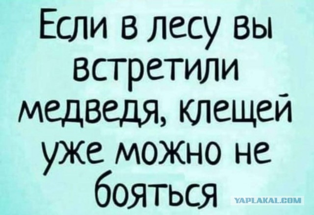 Картинки не для всех