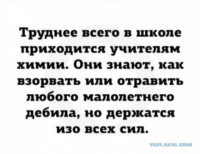 Так себе картинки 15.02.25