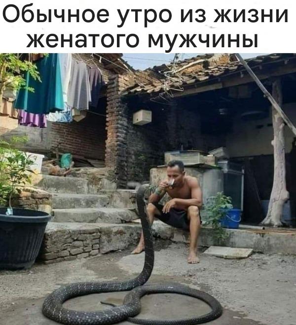 Картинки для деградации-6 (разной степени свежести)