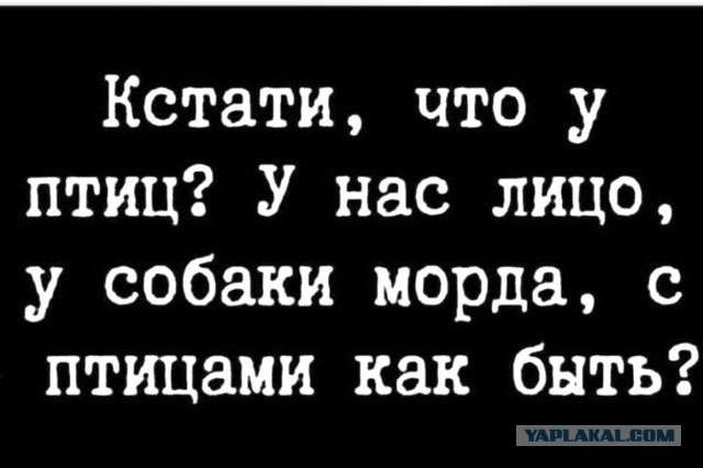 Субботние картинки