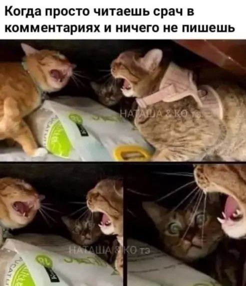 Общественный транспорт рулит!