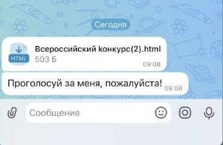 Супер безопасный государственный мессенджер.