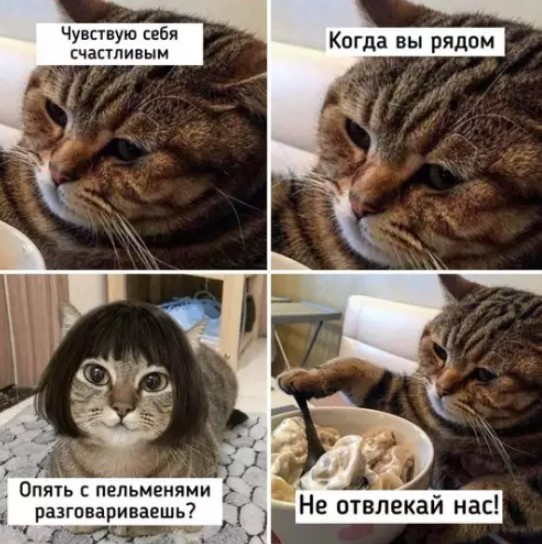 Картинки без критики