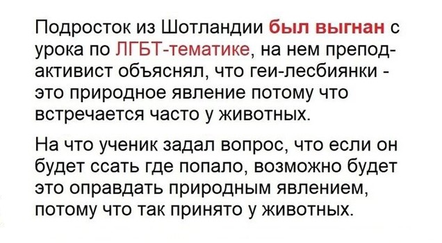 Картинки для деградации 219 (разной степени свежести)