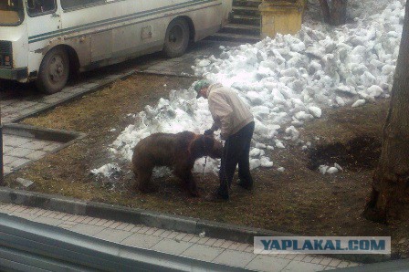 Обычный день в России