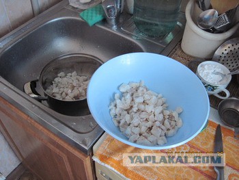 Хе из судака