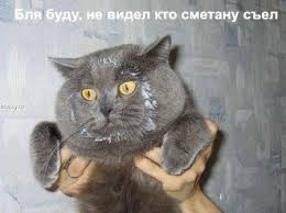 Подборка забавных и курьезных фотографий