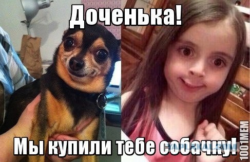 Смешные комментарии из социальных сетей (часть 5)