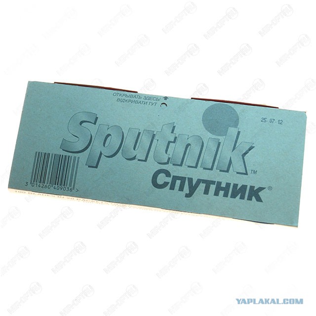 Поисковик Спутник запущен.