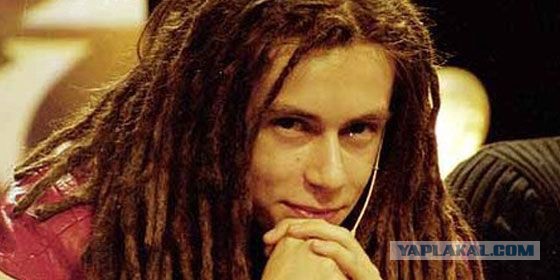 Преображение бездомного пса - из ада в рай