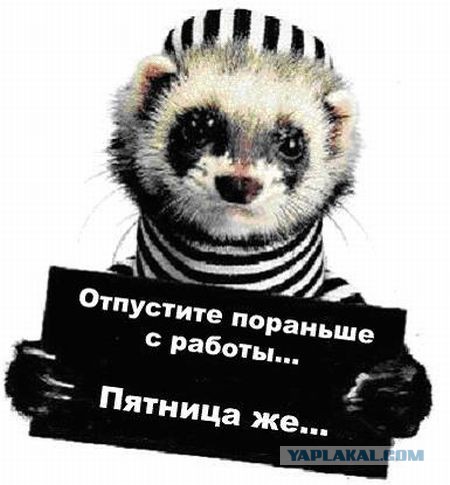 Хватит негатива на сегодня, пятница же!