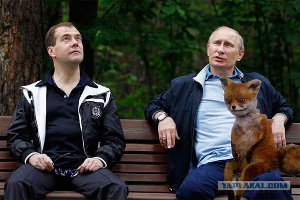 Ну вот и настал Судный день!