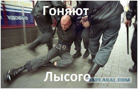 Немного картинок и юмора