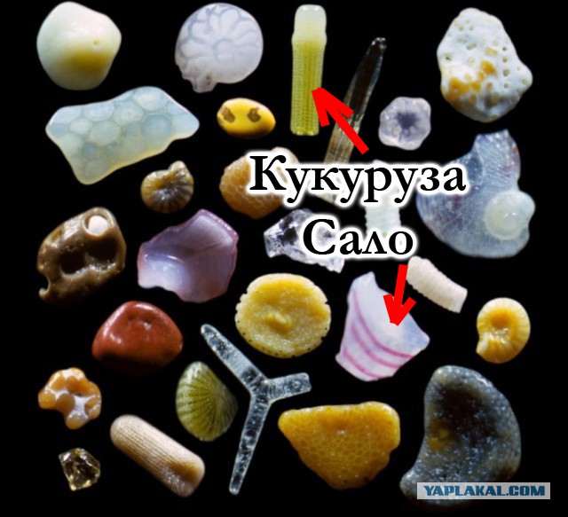 Лучшие фотографии года