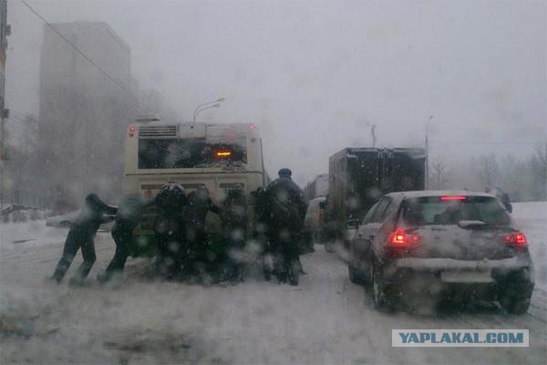 Веселые картинки