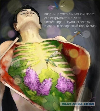 Всякая хренотень