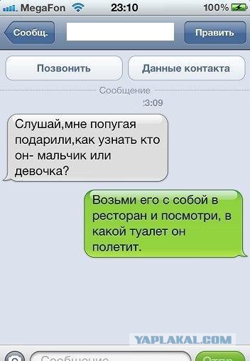 Картинки из этих ваших интернетов